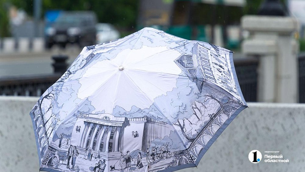 В Челябинской области сохранятся дожди с грозами 20 июня