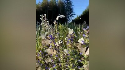 Жителей Челябинской области предупредили о красном дожде