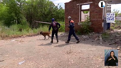 В Челябинске прошли соревнования кинологов