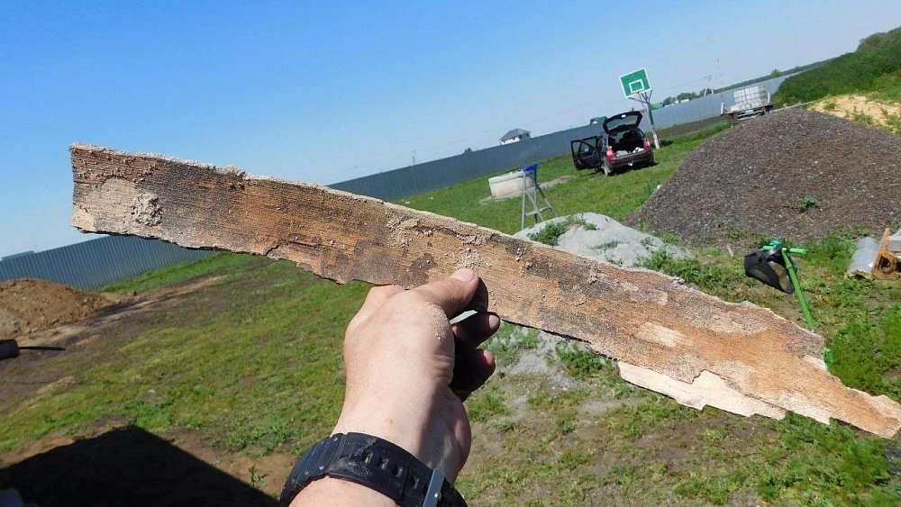 Под Челябинском нашли останки древнего слона