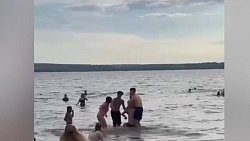 На Шершнях пьяный челябинец чуть было не утопил чужого ребенка