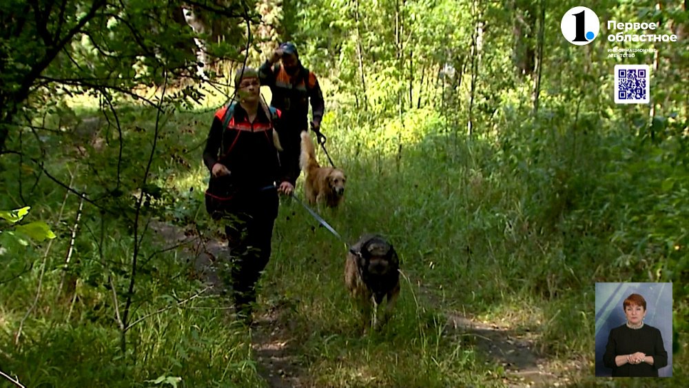 Как кинологи растят служебных собак