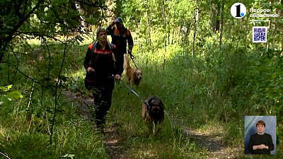 Как кинологи растят служебных собак