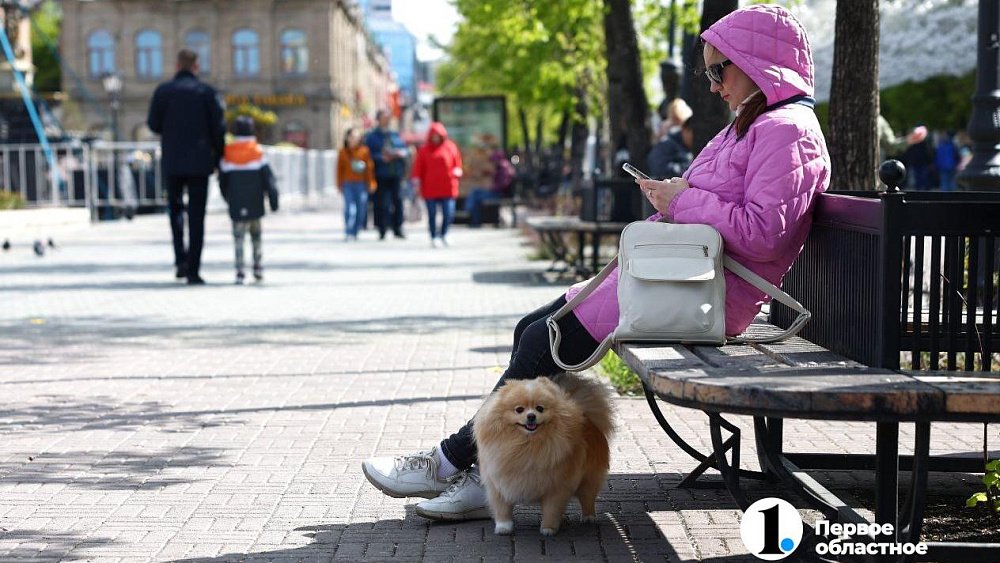 Ветер до 16 м/с, грозы с ливнями и градом ожидаются в Челябинской области во вторник