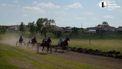 Лошадиные силы Уйского района: конно-спортивные соревнования собрали лучших наездников и рысаков