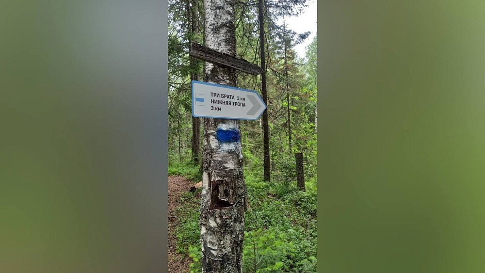 Заметные в темноте стрелки появились еще на трех тропах Таганая