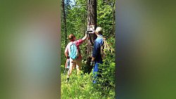 Заметные в темноте стрелки появились еще на трех тропах Таганая