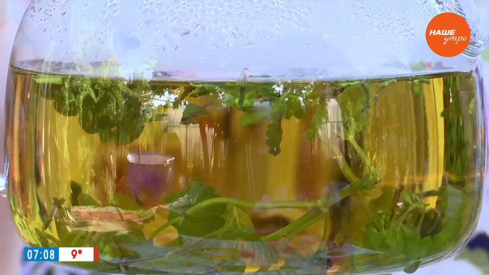 «Кошачья мята» — в рубрике «Время пить чай»