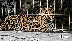 Часть Центрального района Челябинска обновят к осени этого года