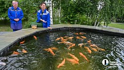 Часть Центрального района Челябинска обновят к осени этого года