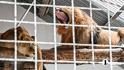 Часть Центрального района Челябинска обновят к осени этого года