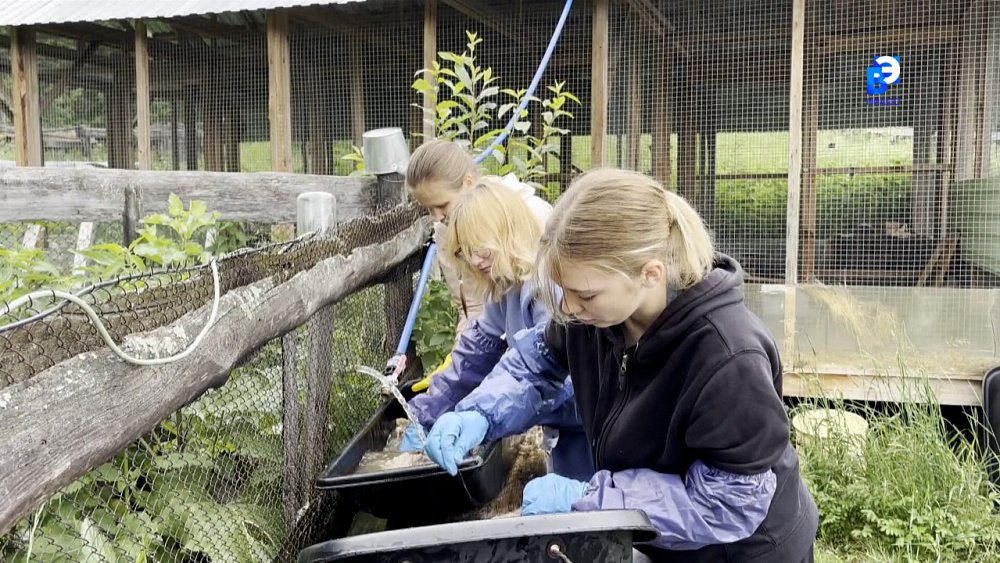 Волонтеры помогают навести порядок в приюте для норок