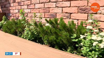 Зеленая комната на террасе в рубрике «Руки садовода»