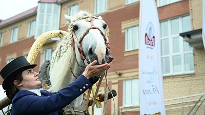 В Челябинской области поддержат развитие конного спорта в КСК «Рифей»