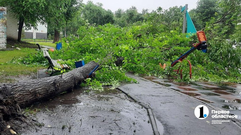 Дерево упало на детскую площадку после ливня в Челябинске