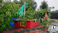 Дерево упало на детскую площадку после ливня в Челябинске