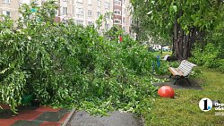 Дерево упало на детскую площадку после ливня в Челябинске