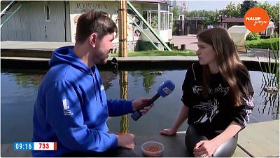 Пруд с карпами кои в «Прямом включении»