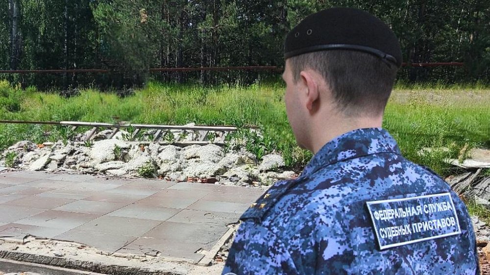 В Челябинской области снесли незаконно построенную в лесу баню