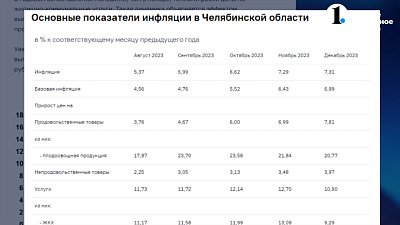 В Челябинской области понизилась годовая инфляция