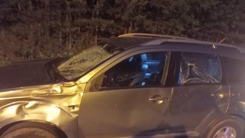 В Челябинской области автомобилист насмерть сбил лося