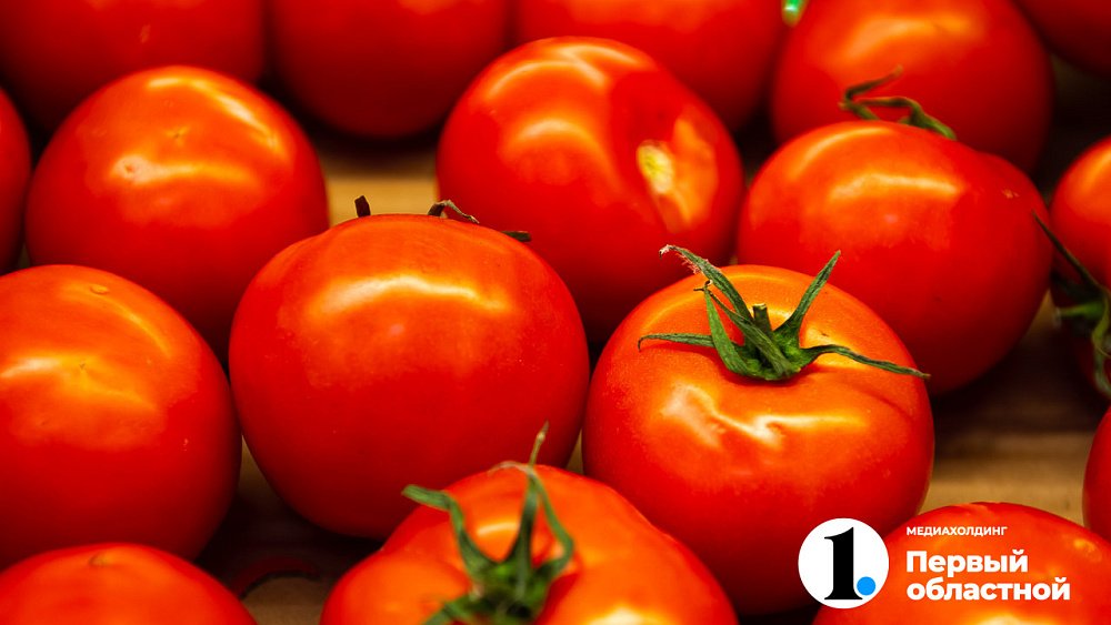 В Челябинской области подешевели огурцы и помидоры