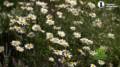 Кусочек уральской природы в центре Челябинска