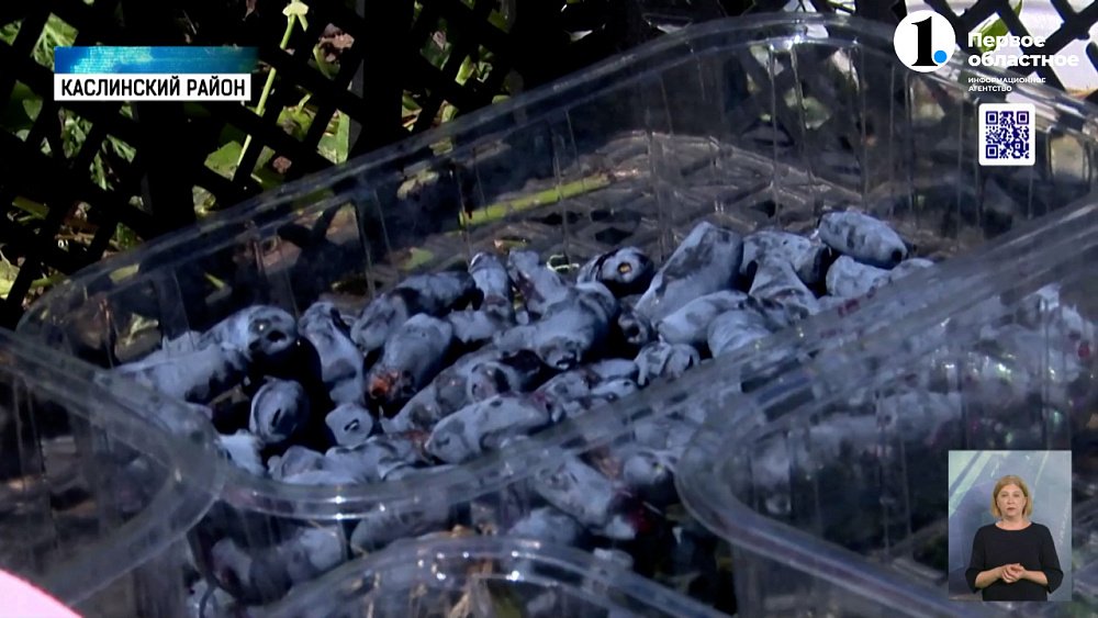 Южноуральцы запасаются витаминами