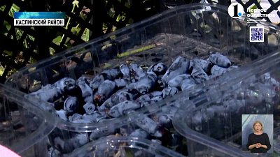 Южноуральцы запасаются витаминами