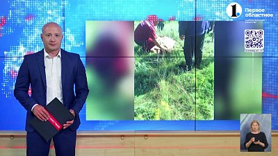 В Агаповском районе утонули двое детей