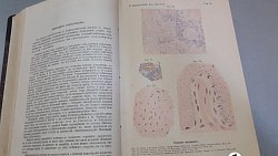 Челябинка нашла в купленной книге письмо известного врача начала XX века