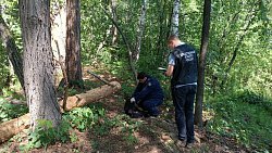 Девятилетняя девочка погибла на базе отдыха в Челябинской области