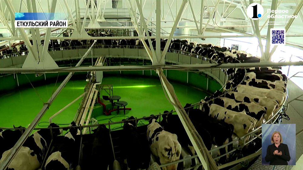 В Еткульском районе началась заготовка кормов