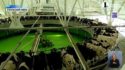 В Еткульском районе началась заготовка кормов