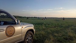 В Еткульском районе пропавшего подростка ищут в садах