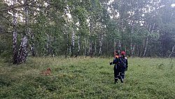 В Еткульском районе пропавшего подростка ищут в садах