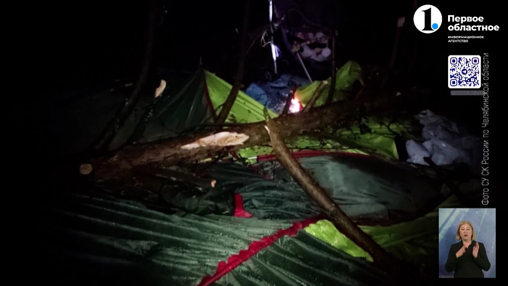 В Миассе дерево придавило двоих детей