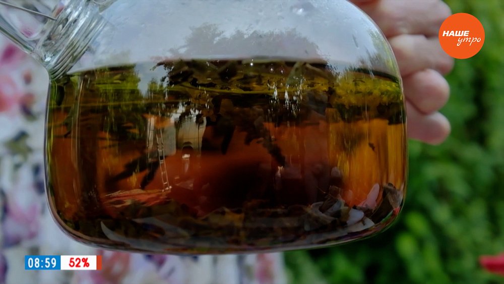 Лекарственный донник ― в рубрике «Время пить чай»