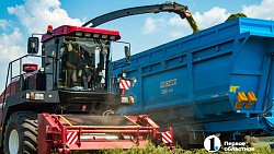 Аграрии Челябинской области заготовят более 400 тыс. тонн кормов