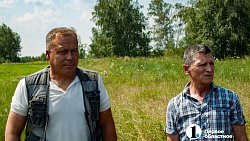 Аграрии Челябинской области заготовят более 400 тыс. тонн кормов