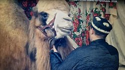 В Троицке сняли народный фильм про богослова Зайнуллу Расулева