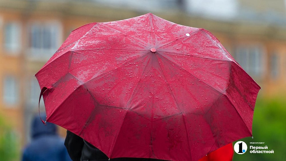 Похолодание до +18 градусов и ливни с грозами ожидаются в Челябинской области