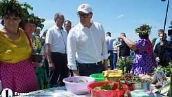 В Челябинской области стартовали финальные игры «Золотой колос»