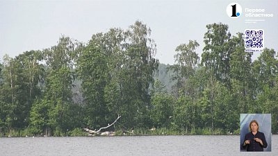 В Снежинске местные жители спасли пенсионера