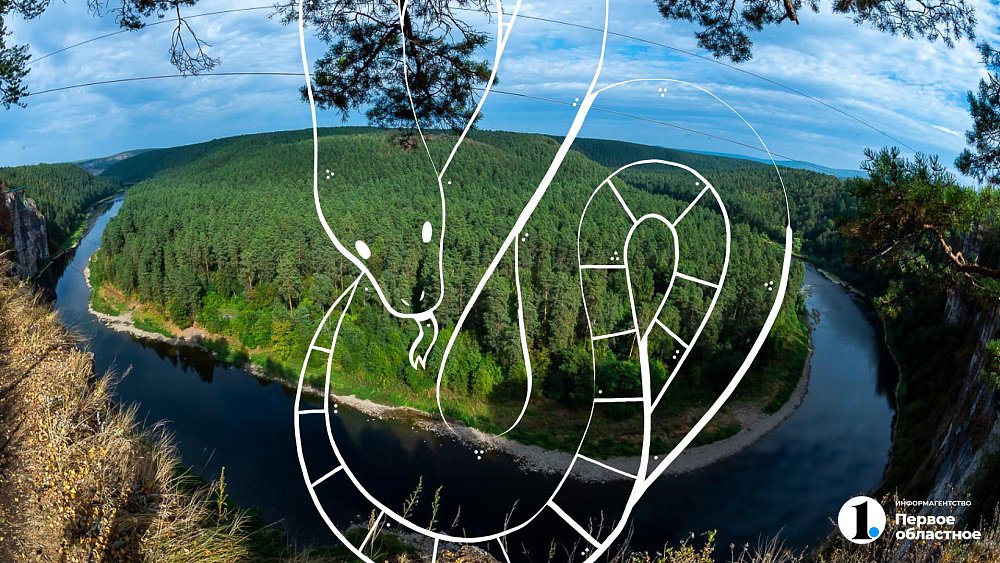  Биолог рассказала, какие змеи водятся в Челябинской области