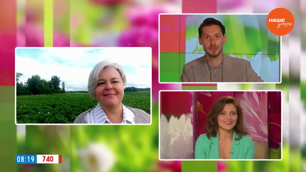 Спасем картофель от вредителей — Гость в студии