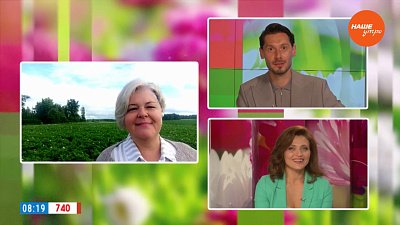 Спасем картофель от вредителей — Гость в студии