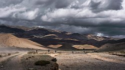 Международный ралли‑рейд «Шелковый путь — 2024» завершился в Улан‑Баторе