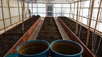 В Челябинске в сезон вырос спрос на теплицы в 4 раза