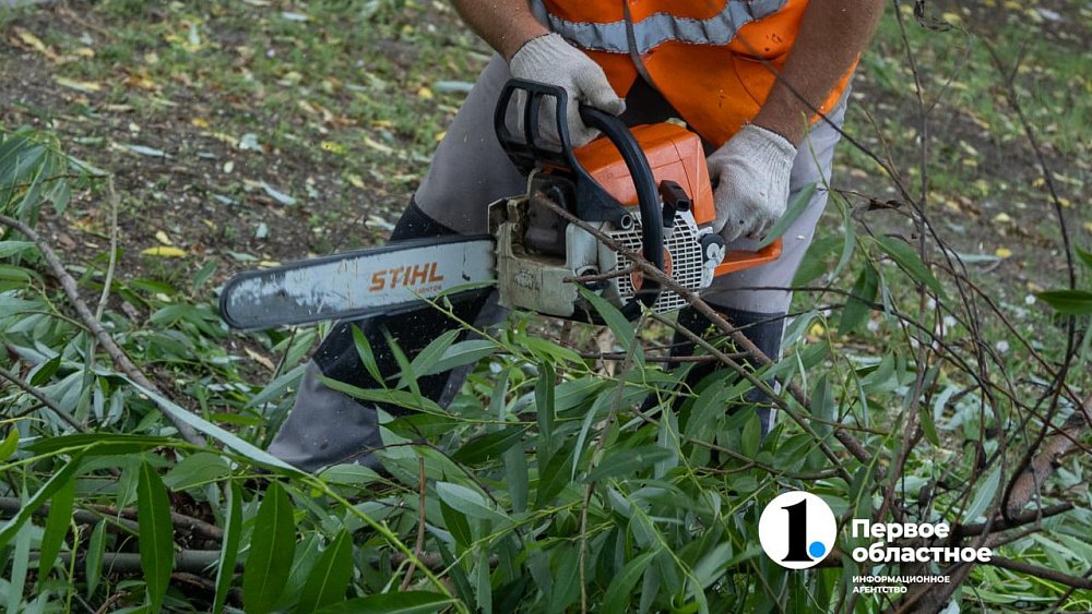 В Челябинске с начала года разрешили срубить почти 1000 деревьев